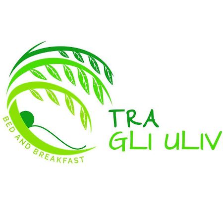B&B Tra Gli Ulivi Rocca San Giovanni Ngoại thất bức ảnh