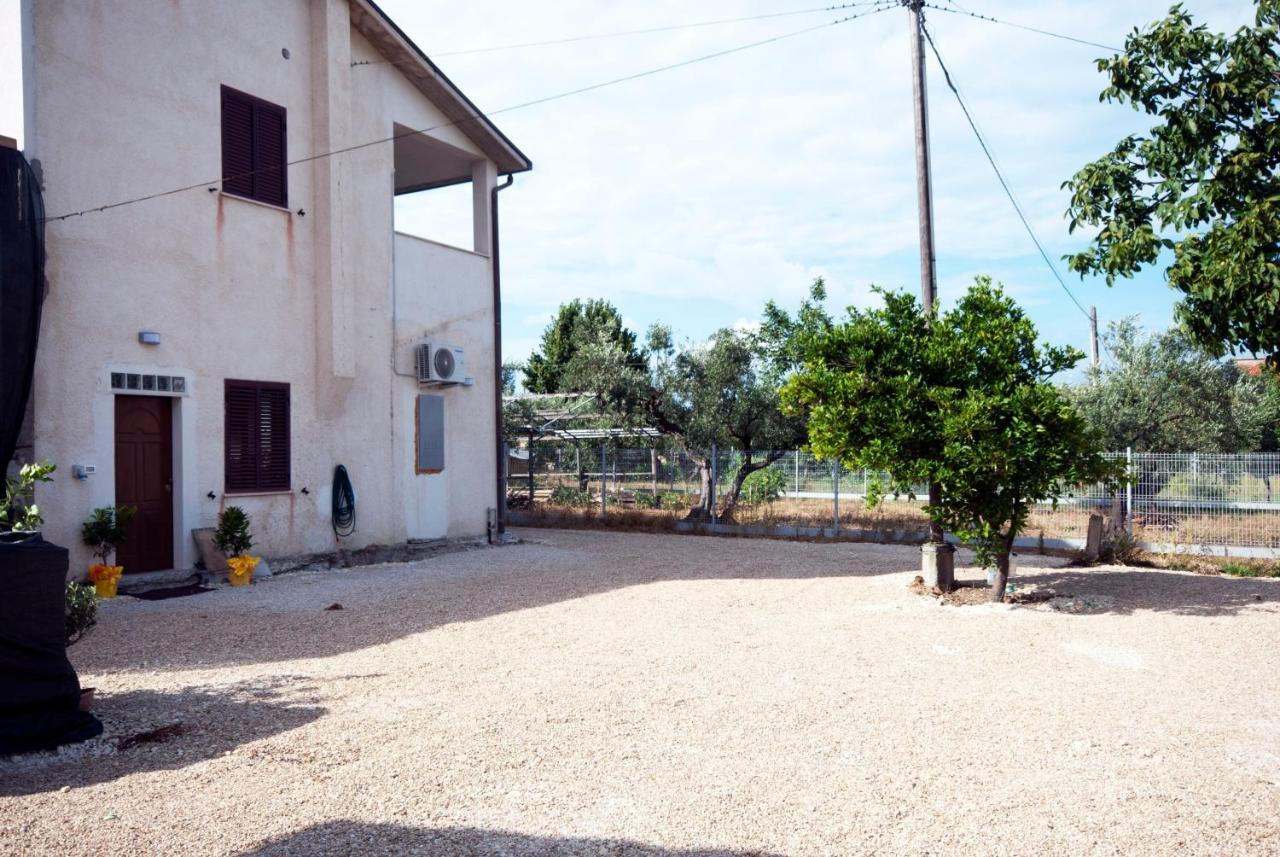 B&B Tra Gli Ulivi Rocca San Giovanni Ngoại thất bức ảnh